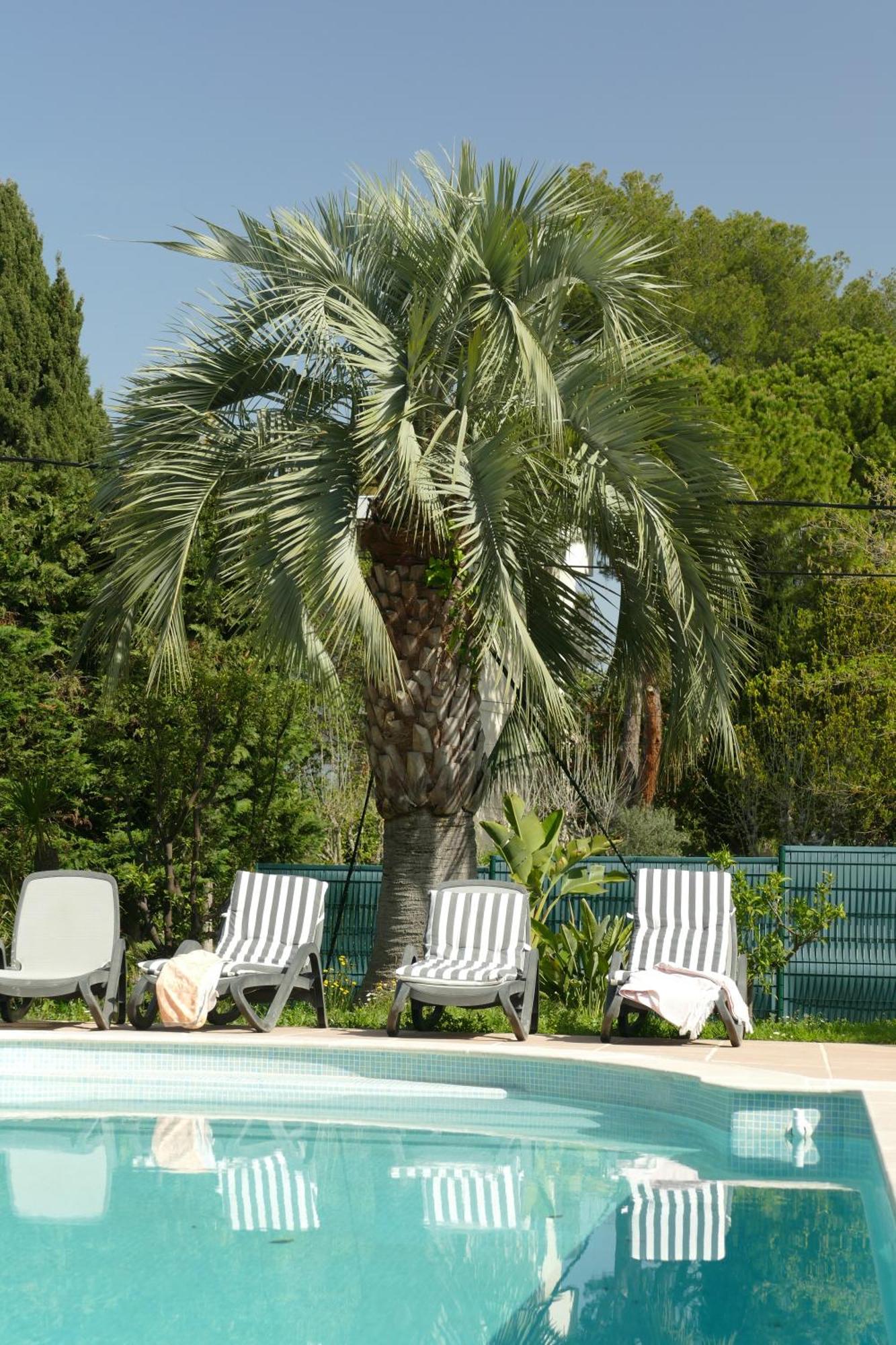 Villa Alessia Antibes Exterior foto